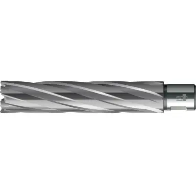 Aktuální Jádrový vrták HKE-L Weldon tvrdokov extra dlouhý, 36/110 mm BDS HKE-L 036