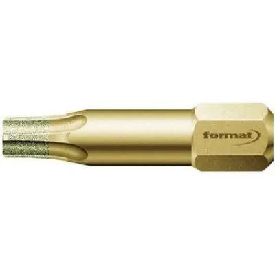 Bit Diamant 1/4" DIN3126C6,3 T40x25mm FORMAT Akční Cena