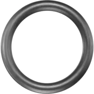 Silový gumový kroužek 1/2“ pro průměr 25 mm ASW 072900 Finální Výprodej